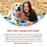 Vitalize Alimend K9 - Dog Upset Stomach Relief for Nausea, Vomiting & Diarrhea - 6 Oz