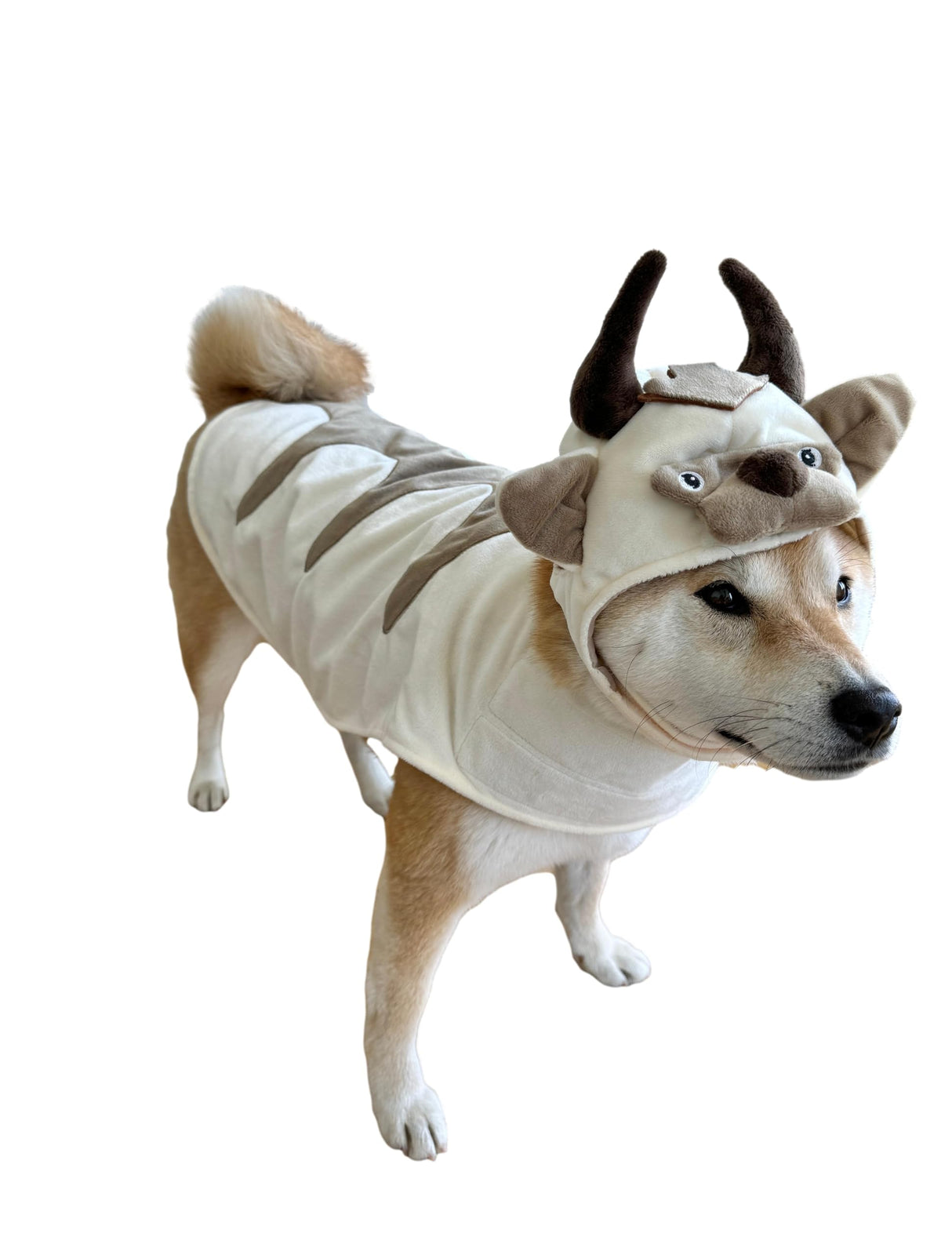 ComfyCamper Oxen Dog Costume - Viking Hat and Cape for Small Medium X Large Cosplay Halloween Costumes, Large