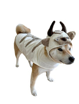 ComfyCamper Oxen Dog Costume - Viking Hat and Cape for Small Medium X Large Cosplay Halloween Costumes, Large