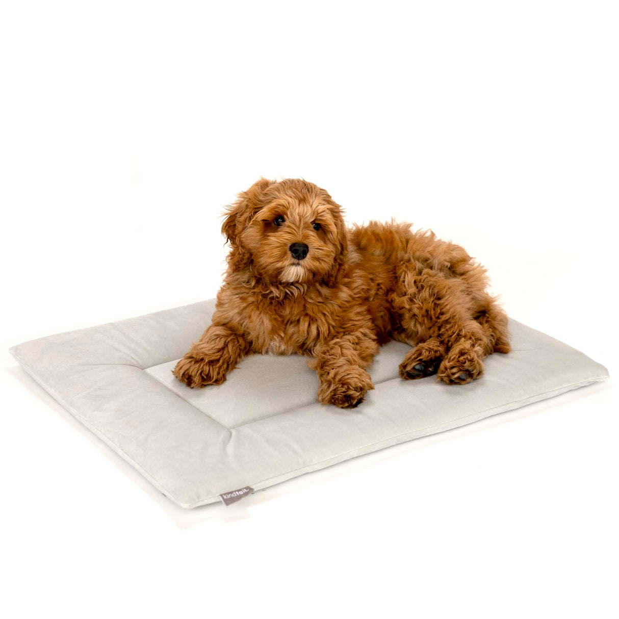 KindTail Dog Crate Pad - Soft Velvet, Reversible Bed - Machine Washable Kennel Mat for Pets up to 25 lbs - Mattress for Cozy Sleeping - 25” x 19” x 1” (Light Grey, Medium)