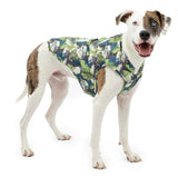 Kurgo Loft Dog Jacket - Reversible Cozy Coat for Outdoor Adventures - Water Resistant - Athletic Fit - Machine Washable Fabric - Reflective Dog Gear - X-Large - Pressed Leaf