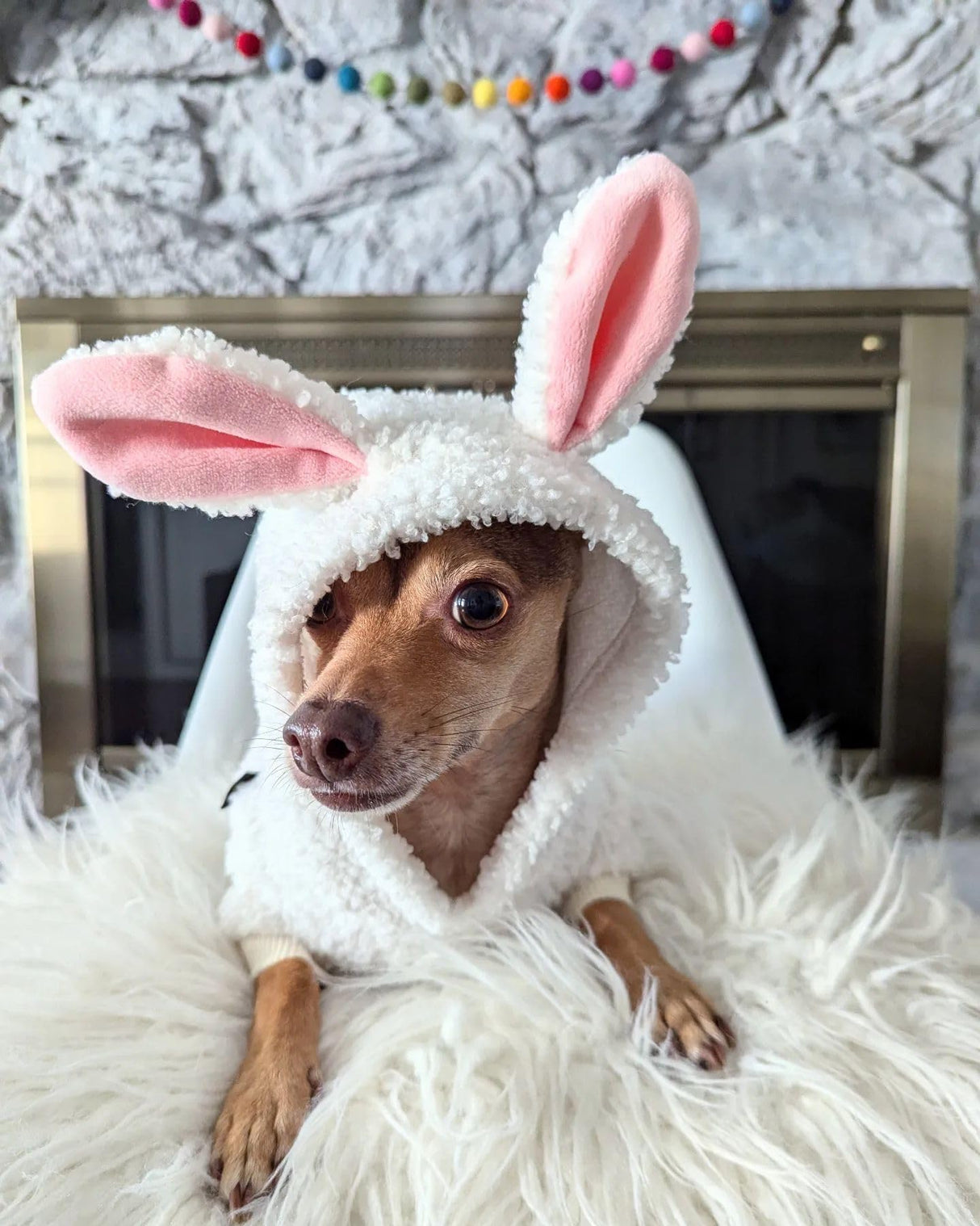 Fitwarm Halloween Sheep Dog Costumes, Funny Clothes for Small Dogs Boy Girl, Pet Apparel, White, Pink, Medium