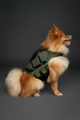 NOAH & PAW Dog Life Jacket, Human Standards Lifejacket Design, Dog Life Vest for Swimming and Boating, 3X Foam Support for Max Floating, Breathable Mesh, Salvavidas para Perros, Size S