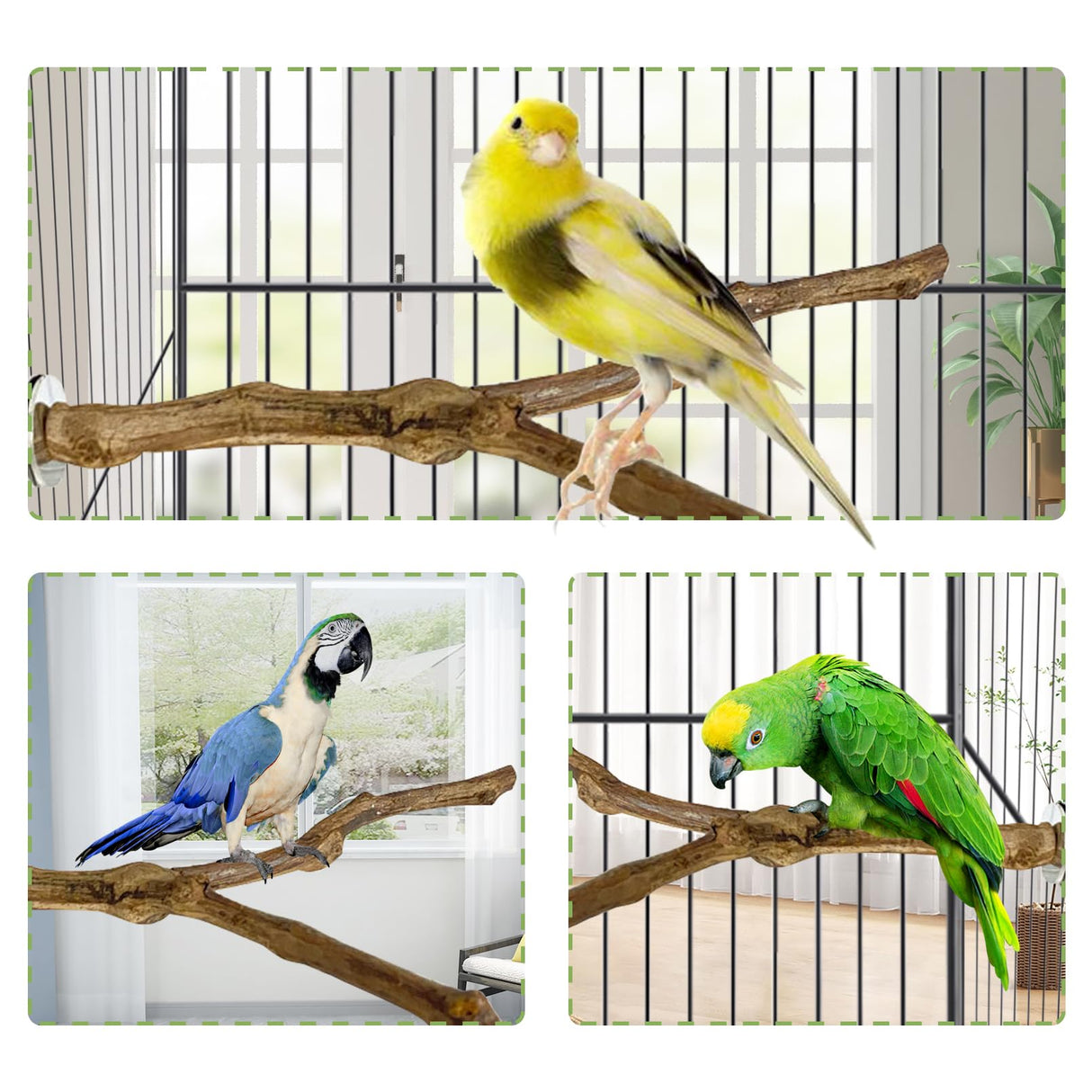 kathson Natural Parrot Perch Bird Stand Pole Wild Grape Stick Paw Grinding Fork Parakeet Climbing Standing Branches Toy Chewable Cage Accessories for Small Budgies Cockatiels Lovebirds 2PCS