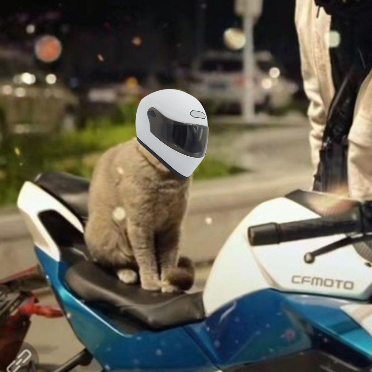 Pet Motorcycle Helmet Dog/Cat Full Face Motorcycle Helmet Outdoor Motorcycle Bike Riding Helmet Hat for Cat Dog Doggie Puppy Kitten Pet Supplies Racing Car Fan Collectible Small Gift (White)