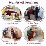 Leletail Dog Diapers Female Reusable Washable Period Diaper with Suspender,Adjustable Dog Panties Anti-Harassment, Doggie Diapers for Incontinence, Heat Cycles, or Senior Dogs（XS-XL