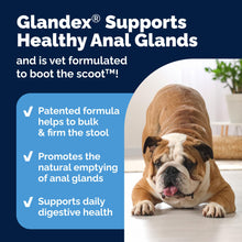 Load image into Gallery viewer, Vetnique Glandex Anal Gland Soft Chew Treats with Pumpkin for Dogs Digestive Enzymes, Probiotics Fiber Supplement for Dogs Boot The Scoot (Bacon Flavor Chews, 120 Count)
