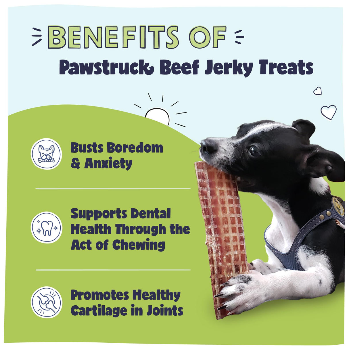 Pawstruck Premium Beef Jerky Dog Treat Chews, Medium 4"-6" Strips – Supports Hip & Joint Health, Rich in Glucosamine & Chondroitin, No Added Preservatives – 25 Count