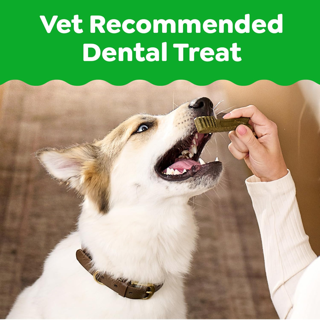 Greenies Veterinarian-Recommended Natural Dental Dog Treats, Large Size, Original Flavor, 36 oz. Pack, 24 Count
