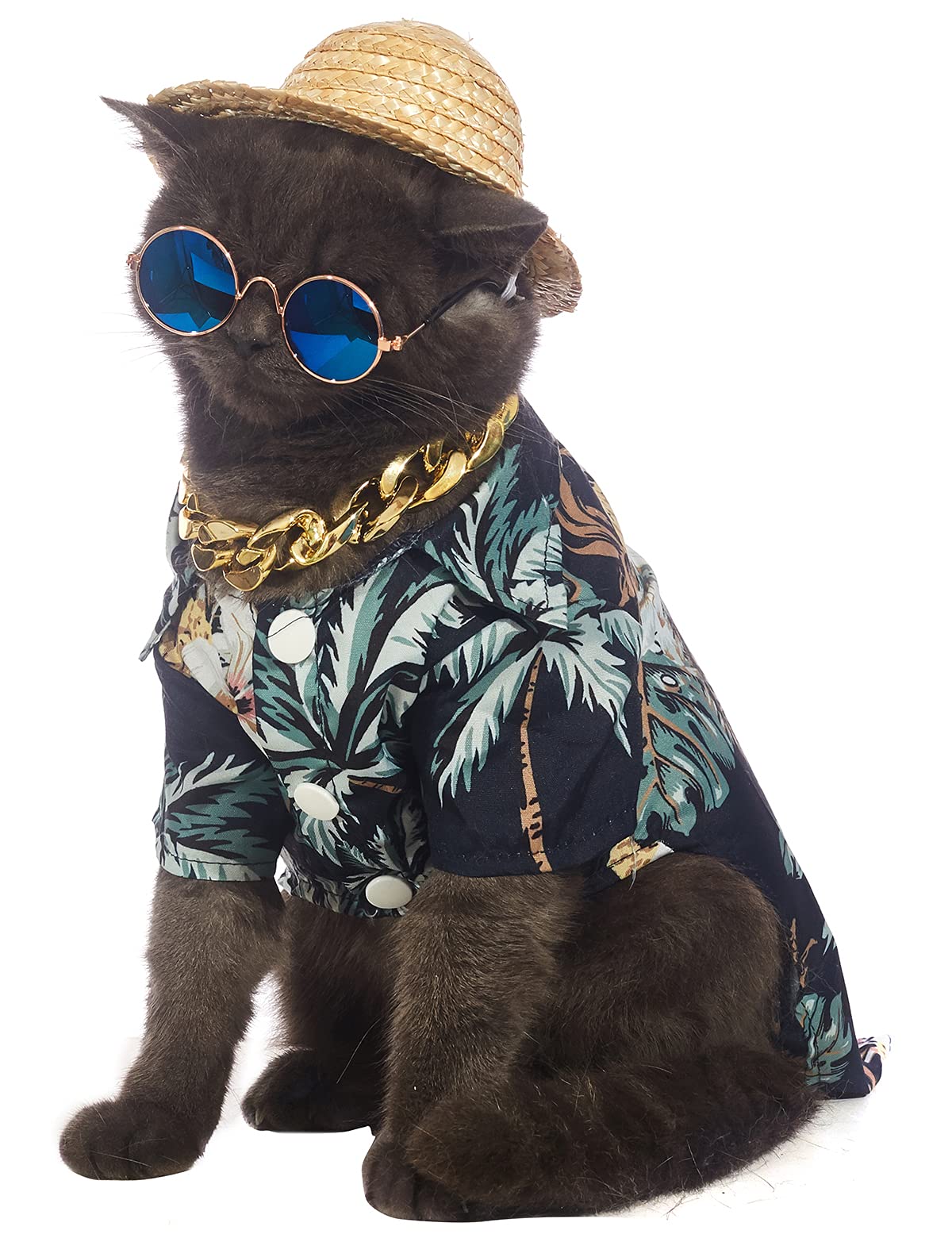 Impoosy Hawaiian Dog T Shirts Pet Summer Clothes Cat Sunglasses Funny Straw Hat Kitten Costumes with Gold Chain Collar (Medium,Black)