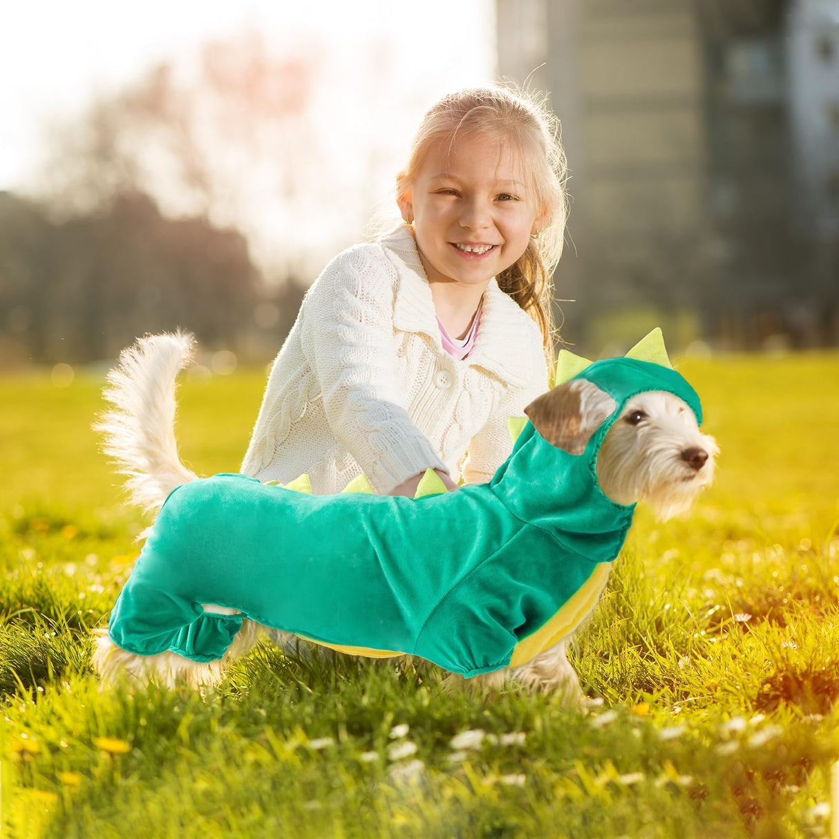 Hotumn Dinosaur Dog Halloween Costume Pet Dino Hoodie for Medium Dogs (XX-Large, Green)
