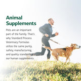 Standard Process Canine Immune System Support - Immune Support Supplement for Dogs - Powder Canine Supplement Aids Overall Health & Wellness - Immunity Support Supplement with Zinc & Kelp - 30 g