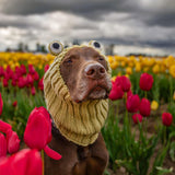 Zoo Snoods Frog Costume - Knit Dog Snood Ear Wrap for Pets, Warm Neck Cover for Halloween and Winter (Medium)