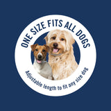 PetArmor Plus Flea & Tick Collar for Dogs, Kills Fleas & Ticks, Long Lasting Protection for 6 Months, Water Resistant, One Size Fits All, 1 Collar