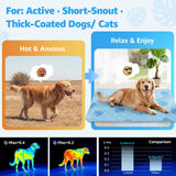 LOOBANI Dog Cooling Mat for Large Dogs - 56"x36" Pet Cooling Mat with Anti-Slip Bottom, Waterproof Self-Cooling Dog Pad for Crate, Floor & Car, Grey Monstera (Blue, 56"x36")