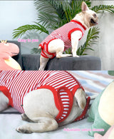 Sychien Dog Red Recovery Suit for XXX-Large Female Spay,Male Dog Surgery Suit,Narrow Red-White 3XL