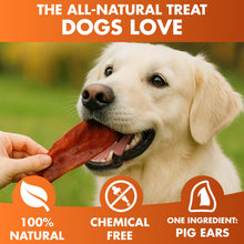 Load image into Gallery viewer, BRUTUS &amp; BARNABY Pig Ear Halves for Dogs, 15 Ct. – All-Natural Single Ingredient Dog Chews, Slow Cooked &amp; Fully Digestible Rawhide Alternative
