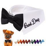 Handcrafted Personalized Dog Wedding Attire with Bow Tie – Custom Embroidered Name, Adjustable Shirt-Style Collar Fit, Optional Ring Bearer Clasp, Formal Outfit by ACORD EU (White)