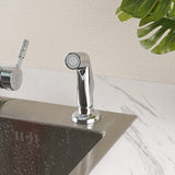 Universal Kitchen Sink Side Sprayer Head Replacement, Chrome Finish