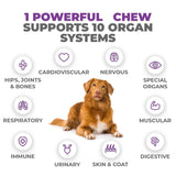 Mighty Petz MAX Dog Multivitamin - Senior & Adult Dog Vitamins 10 in 1 Complete Support for Joints, Immunity, Mobility, Gut, Energy, Skin Health, Pet Multivitamin Daily Chewable Supplement