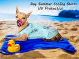 Y-blue Dog Summer Cooling Shirts,Sun Protection Quick Dry Mesh Breathable Medium Tee-Shirt,Red+Blue M
