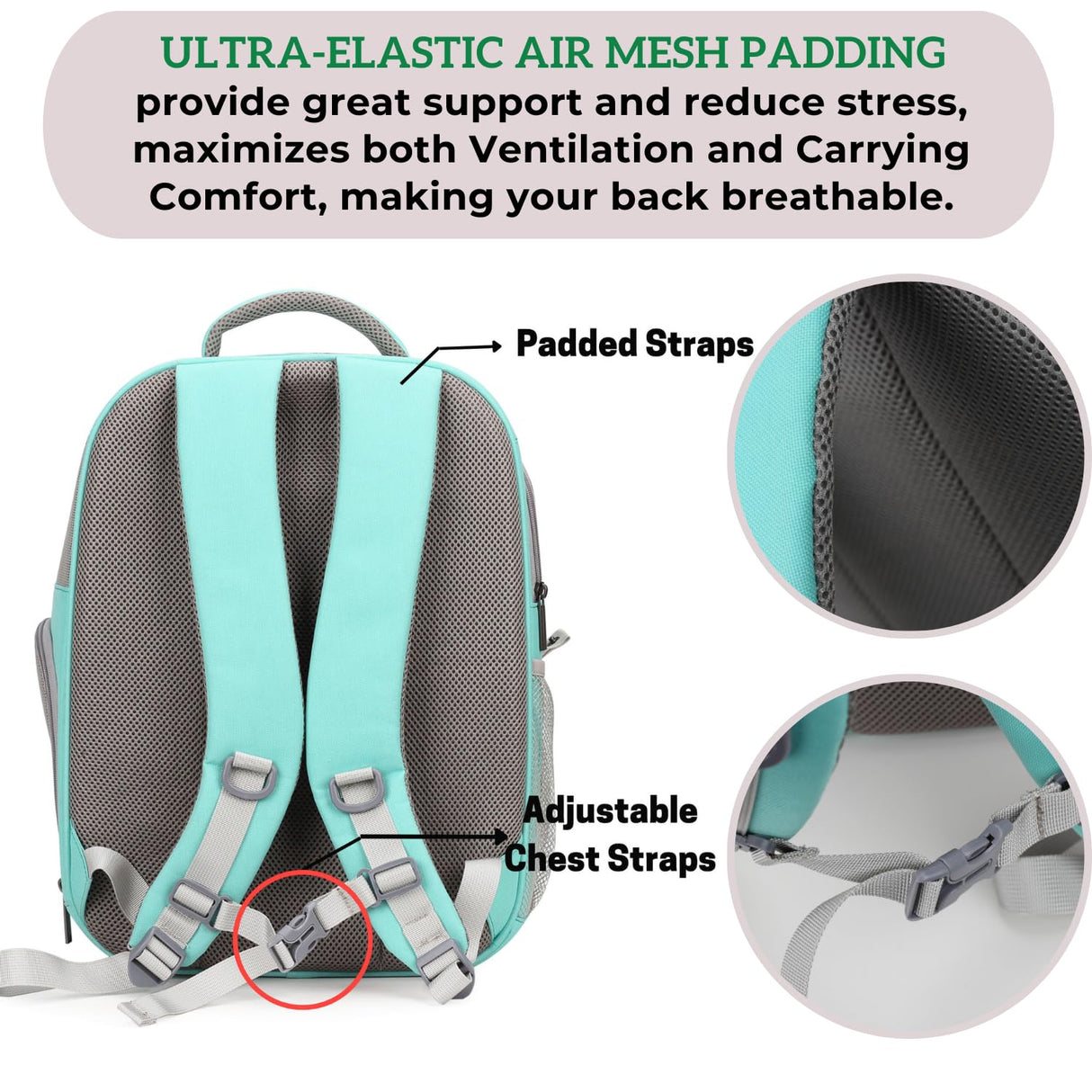 Lollimeow Pet Carrier Backpack, Bubble Backpack Carrier, Cats and Puppies,Airline-Approved, Designed for Travel, Hiking, Walking & Outdoor Use (Green)