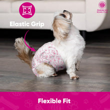 Load image into Gallery viewer, American Kennel Club Female Dog Wrap, Disposable Diapers with Wetness Indicator, Small, 50 Count
