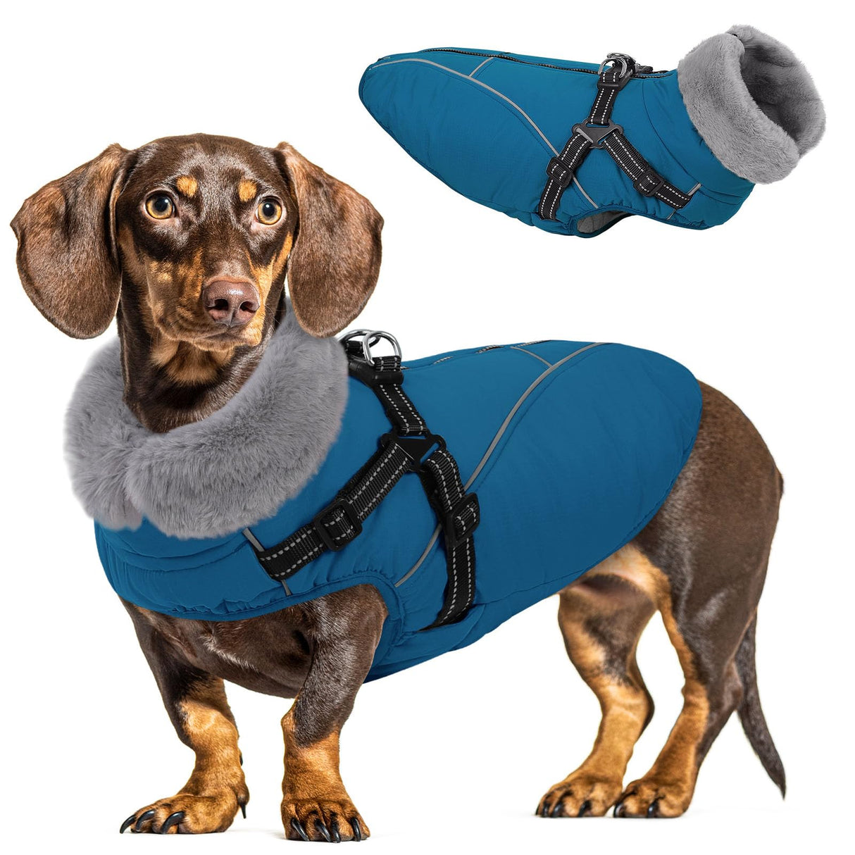 Queenmore Dog Coat,Windproof Dog Coat for Medium Dogs,Dogs Jackets with Harness Built in,Waterproof Doggy Coats with Zipper On Back,Reflective Cold Weather Coats for Dachshund，Boston Terrier,Blue,M