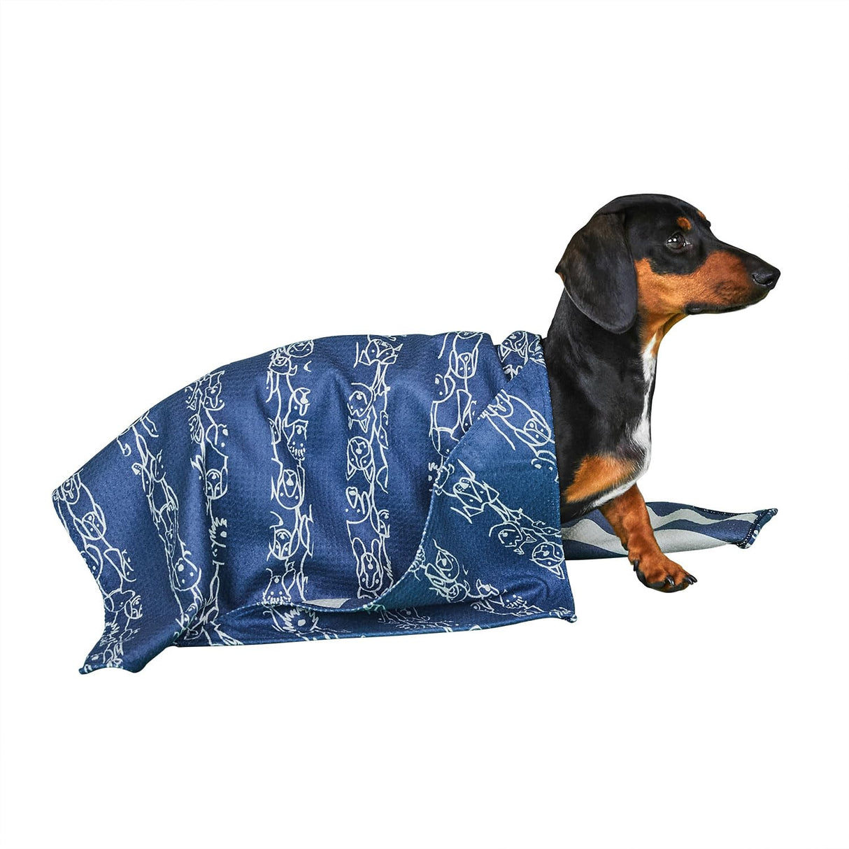 Dock & Bay Pet Towel - Super Absorbent & Quick Drying Dog Towels with Bag - 100% Recycled - Puppy Party, Medium (90x50cm, 35x19)