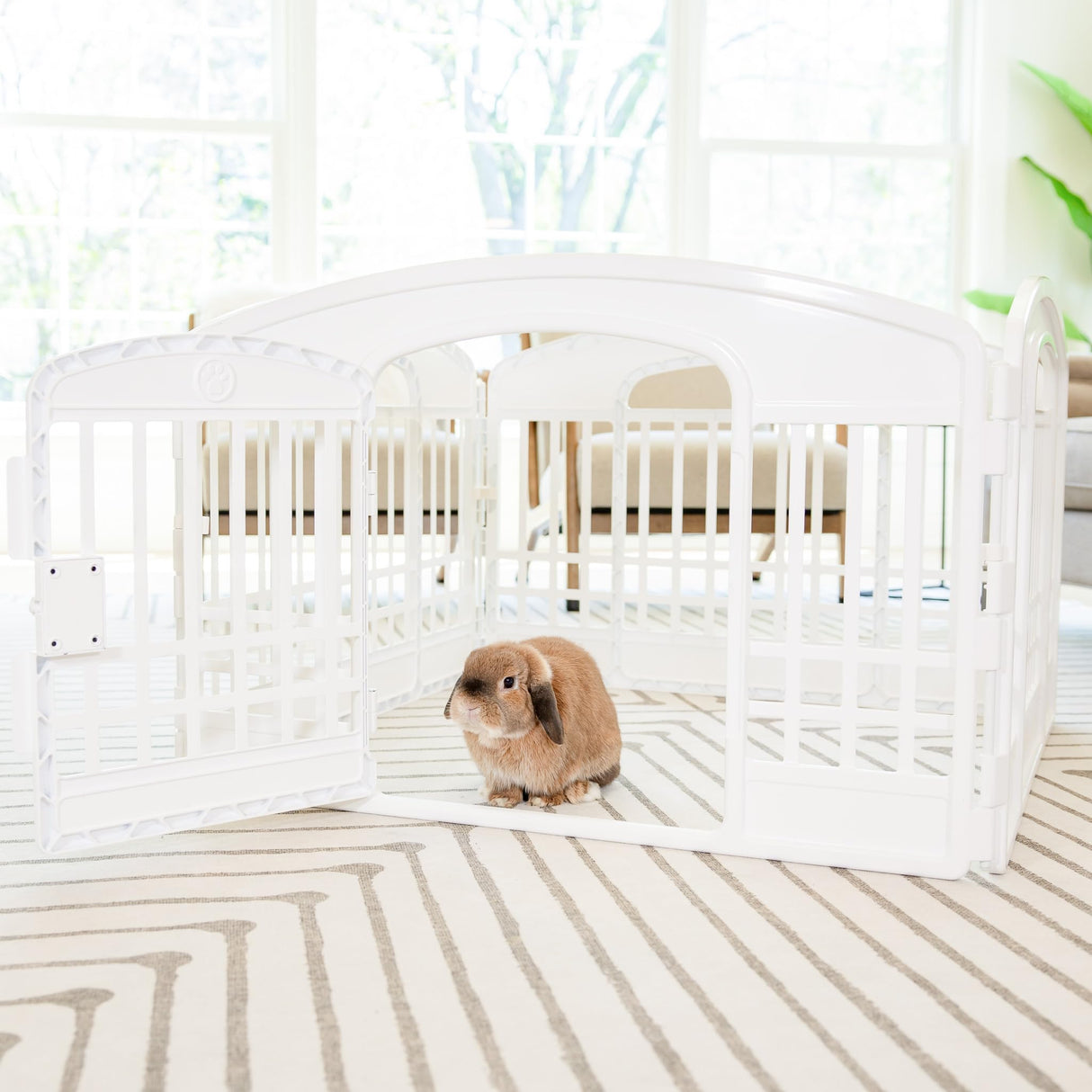 Carlson 4-Panel Plastic Pet Pen – Portable, Secure, and Easy-to-Use Playpen for Small Pets | 24" Tall, White, Includes Door and Lock, Ideal for Small Pets, Whelping and Indoor/Outdoor Use