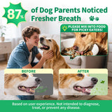 Dog Dental Powder – Teeth Cleaning Powder with 6B CFU Probiotics, Enzymes & Antioxidants, Plaque & Tartar Off, Fresh Breath Support, No Brushing Oral Care, Mint Beef Flavor, 75 Servings