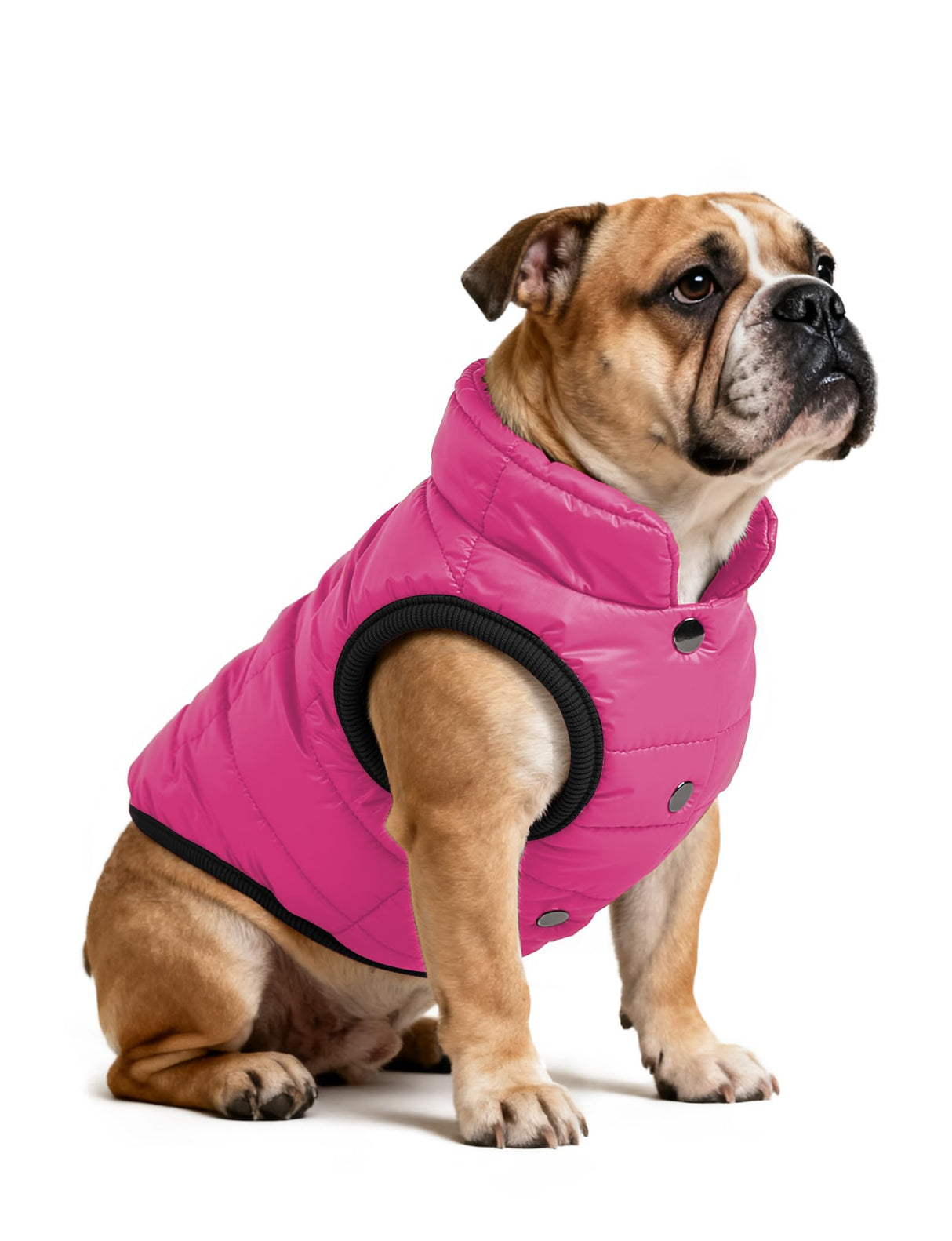 AURUZA Dog Winter Coat, Warm Waterproof Dogs Jacket Small Pet Vest for Medium Dogs Windproof Pet Fleece Vest Snow Jacket for Cold Weather(Hot Pink,3XL)
