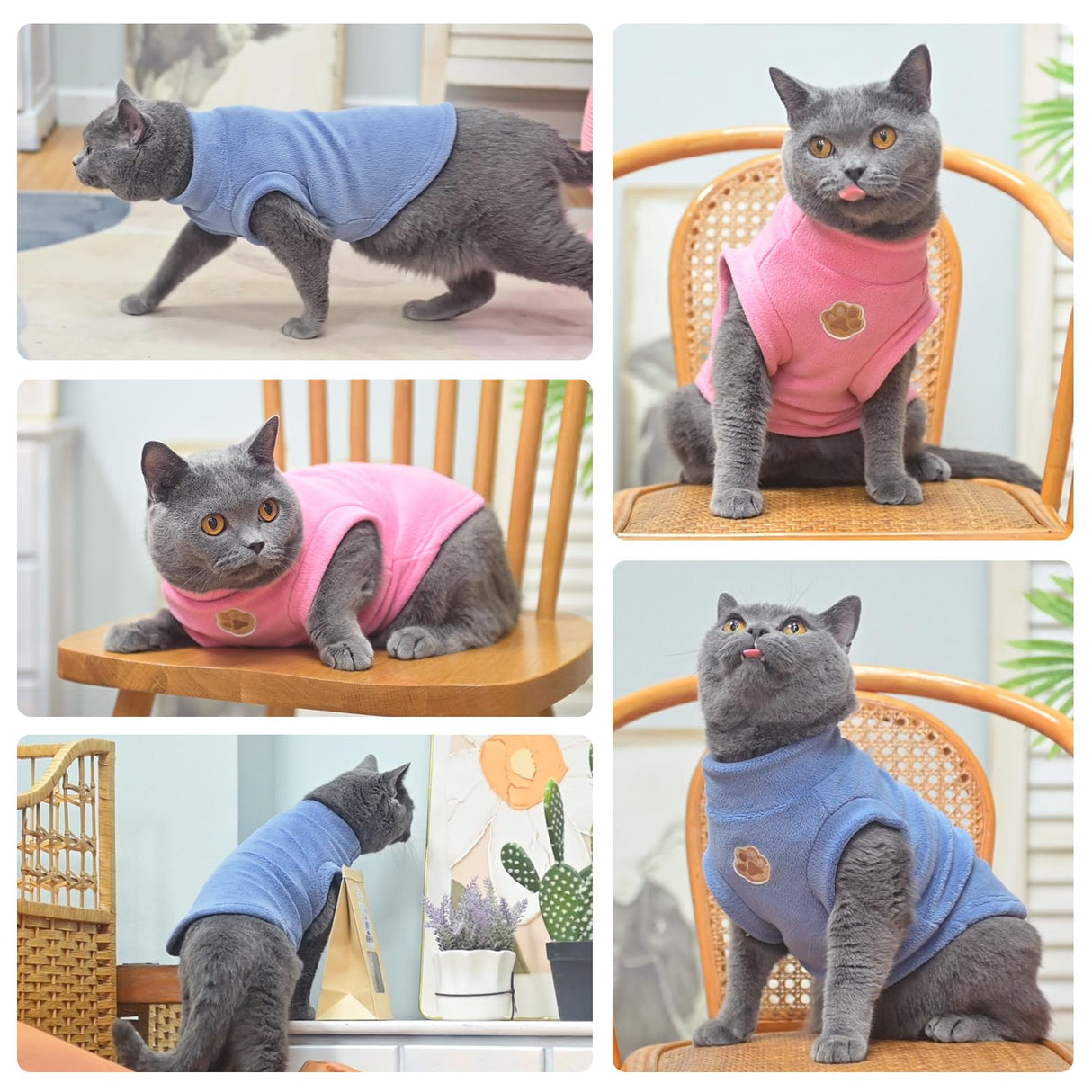 BEAUTYZOO Cat Sweater Turtleneck - Soft Fleece Cat Sweaters for Cats Only Warm Kitten Clothes, Fall Winter Pet Coat Pullover Sweatshirt Clothing Also for Puppy Small Dogs Sphynx Hairless Cats