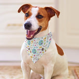 Happy Traditional Jewish Passover Dogs Scarf Adjustable Bandanas Pets Costume Accessories Decor