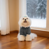 EXPAWLORER Dog Hoodie for Small Medium Large Dogs, Soft and Warm Fall Pet Clothes,Dog Sweater with Leash Hole and Pocket, Winter Cold Weather Coat, Sweatshirt for Boys Girls, Grey L