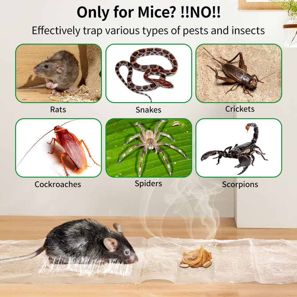 6 Pack 47 * 11 in Large Rat Traps, Heavy Duty Sticky Mouse Traps for House Indoor, Extra Strength Snake Traps for Mice Rat Snake Roach Lizard Spider Scorpion and Other Pests