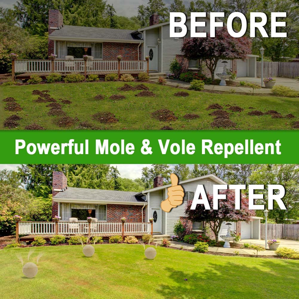 DALIYREPAL Mole Repellent,Vole Repellent Outdoor,Gopher Repellent, Mole Repellent for Lawns,8 Count Natural Gopher Repellent Keep Moles and Voles Out of Your Lawn and Garden, Safe Around Pet & Plant
