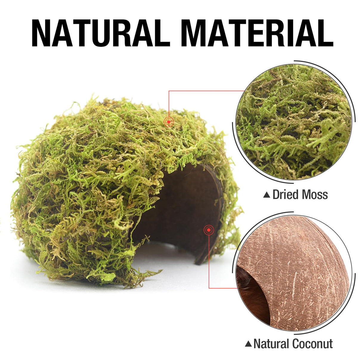 SanmooAio Hamster Hideout - Large, Natural Moss, Handcrafted for Syrian Hamsters, Rats & Guinea Pigs, Safe & Eco-Friendly