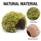 SanmooAio Hamster Hideout - Large, Natural Moss, Handcrafted for Syrian Hamsters, Rats & Guinea Pigs, Safe & Eco-Friendly