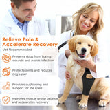 Jorme Dog Knee Brace for Torn ACL, Dog Leg Brace for Post-Surgery Recovery, Arthritis & Luxating Patella,Side Stabilizers, Breathable Neoprene, Adjustable Velcro & Belly Band,Front/Rear Legs (L)