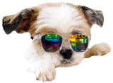 G014 Dog Cat Pet 80s Sunglasses Goggles for Small Breeds up to 15lbs (2-Pack Black+ Clear-Rainbow Mirror)