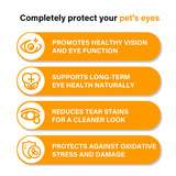 Nutridog Eye Supplements for Dogs - Vision Support Soft Chews with Lutein, DHA & Vitamin C | 120ct Salmon Flavor Tear Stain Chews | Cataract & Dry Eye Relief Supplement (120 Ct, Salmon)