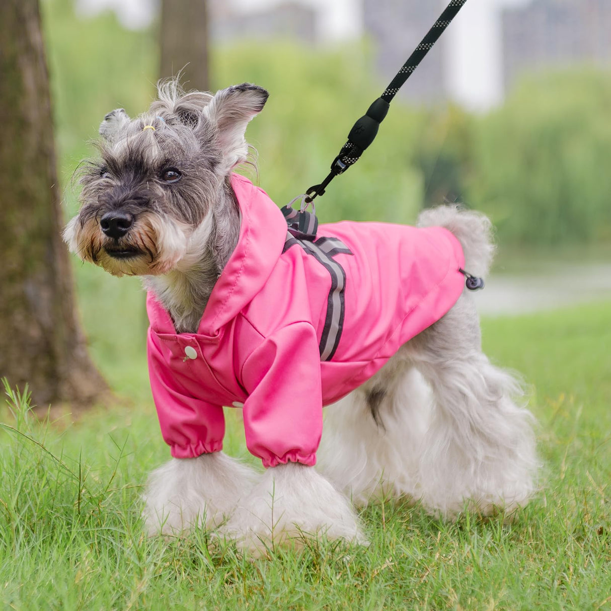 PUPTECK Dog Raincoat with Hood & Harness Built-in, Waterproof Dog Rain Jacket Slicker Poncho Reflective Vest Clothes for Rainy Snowy Winter Cold Days, Fuschia M