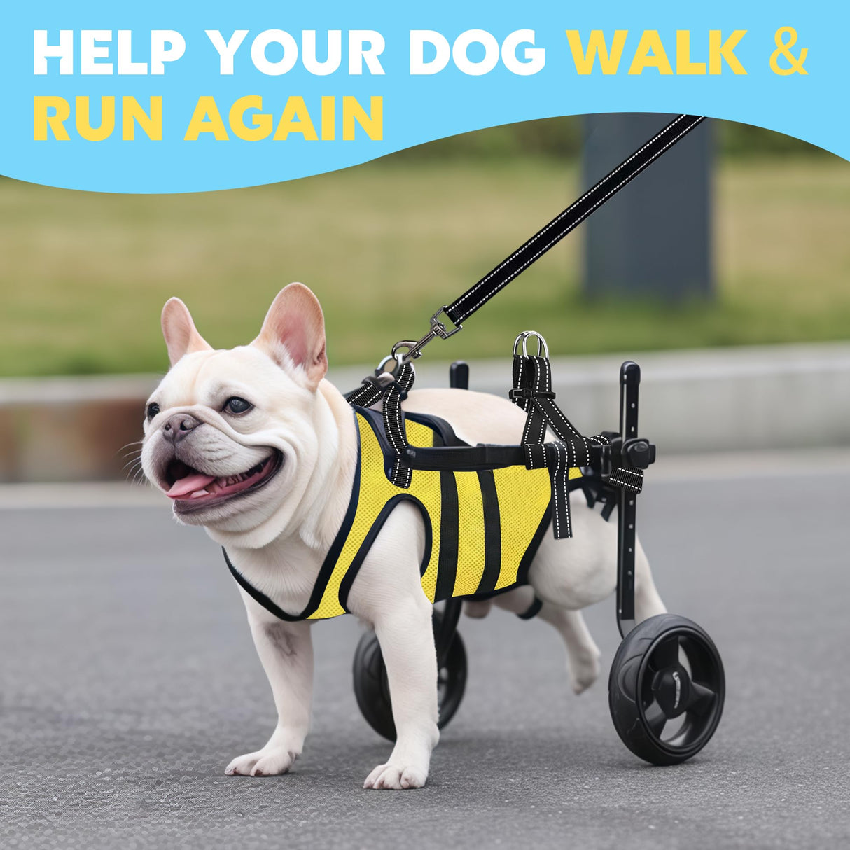 LOKSHUN Small Dog Wheelchair for Back Legs, Adjustable Rear Leg Mobility Support for Small Dogs up to 22 lbs, Lightweight Dog Mobility Cart with 2-in-1 Leash, LED Light, Heavy-Duty Wheels (Yellow-S).