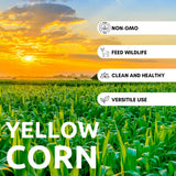 5 Pounds Premium Corn for Feeding – Bird Food for Crows and Ravens, Grown in Iowa, 5 lb Resealable Bag