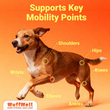 WuffWell Liquid Glucosamine for Dogs - Hip and Joint Support - Made in USA - Glucosamine for Dogs Liquid 16oz - Natural Hip and Joint Supplement - Dog Joint Health - Vet Approved - Easy Dosage