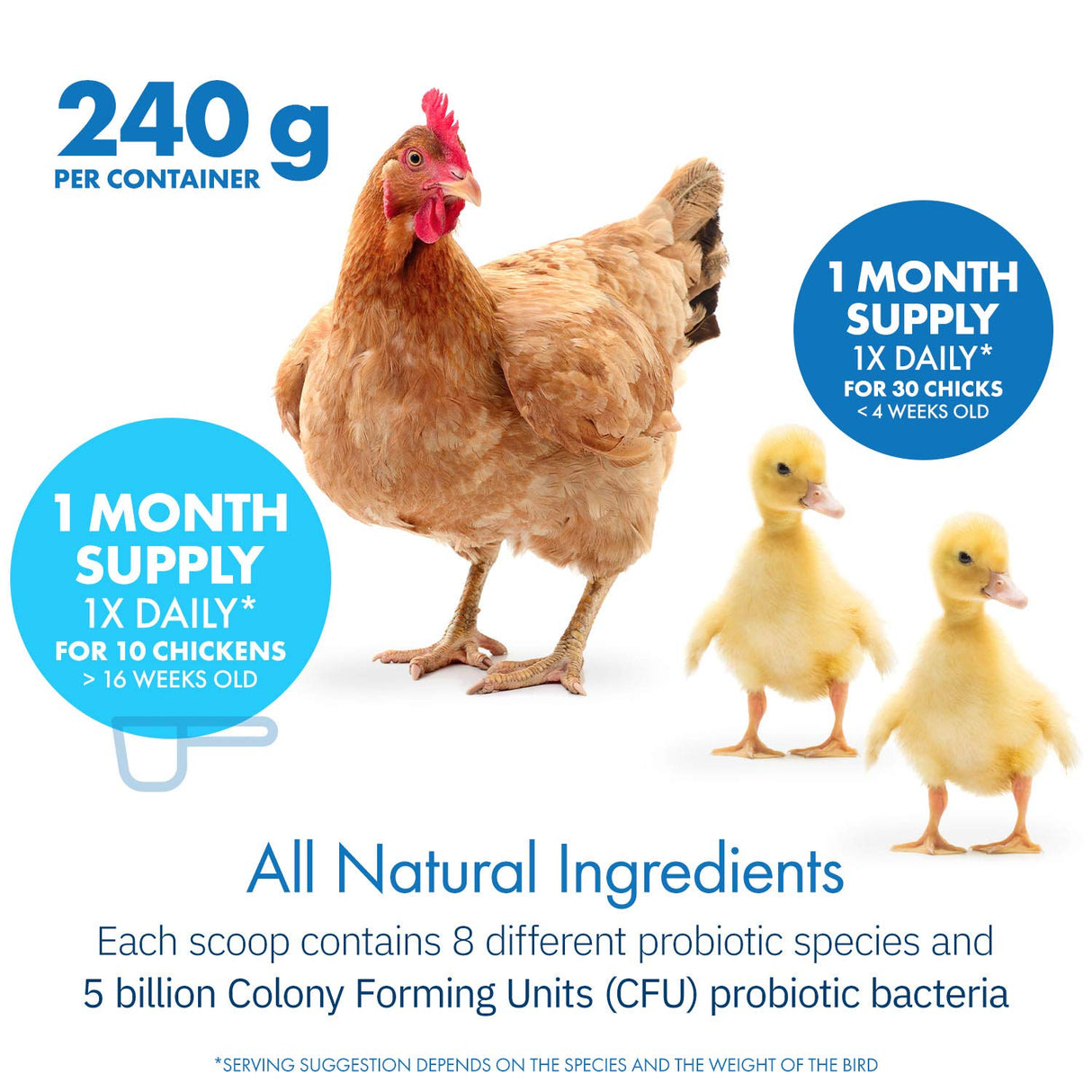 Equa Holistics HealthyGut Probiotics for Chickens & Poultry, All-Natural Digestive System Dietary Supplement (30 Scoops)