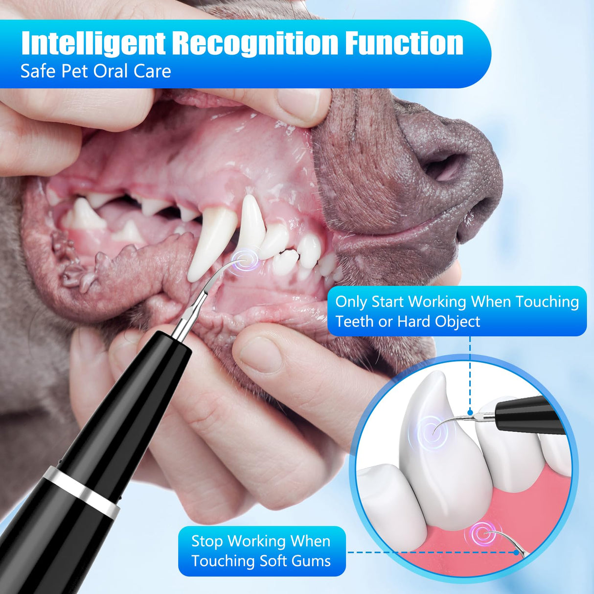 MIONJO Dog Tartar Remover for Teeth, Plaque Remover with LED Light Teeth Cleaning Kit 5 Modes for Dogs and Cats, Black