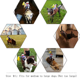 Hotumn Dog Halloween Costume Cowboy Rider Costume for Dogs Knight Style Funny Dog Clothes Amazing Dog Pet Suit Party Pet Costume for Small Medium Dogs Cats (XL, Cowboy Rider), X-Large