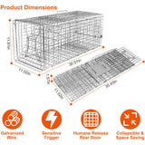 KOCASO Large Live Animal Trap Cage, Foldable Heavy Duty Humane Rat Trap for Indoor and Outdoor, Metal Mouse Trap for Squirrel Gopher Chipmunk Mice Raccoon, Easy to Catch and Release, 31"x11"x12"